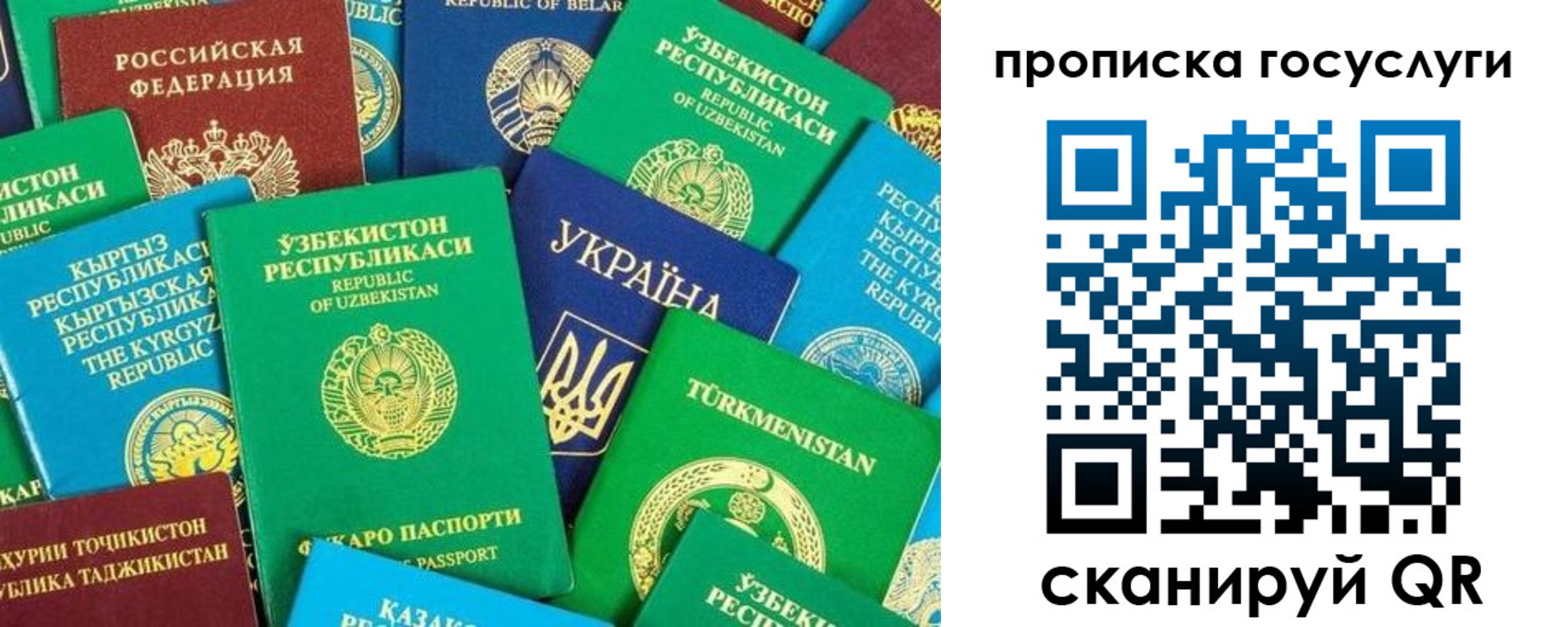 прописка в Борисоглебске